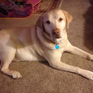 Meet your Posher, Donna